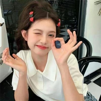 美国豚鼠4:献祭